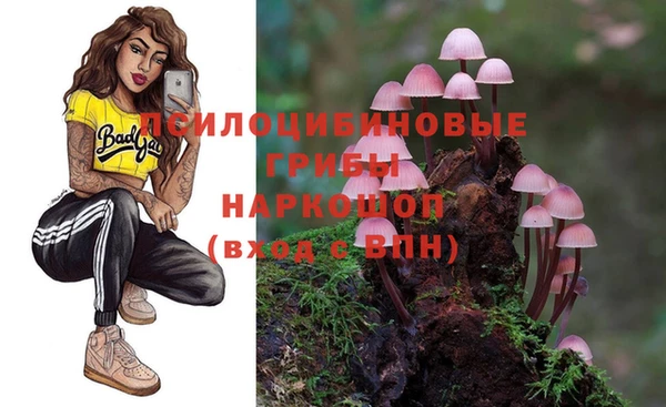 а пвп мука Богородицк