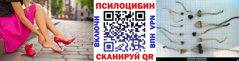 купить наркотик  hydra как зайти  Галлюциногенные грибы прущие грибы  Дзержинск 