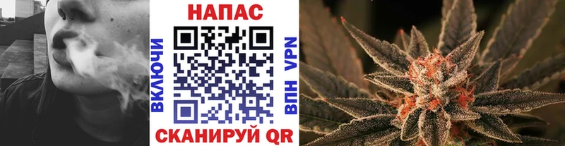 Бошки Шишки Amnesia  Дзержинск 